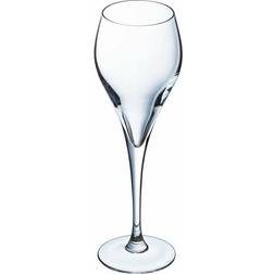 Arcoroc Brio Champagne Glass 16cl