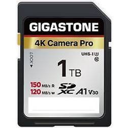 Gigastone 1TB SD Card V30 U3