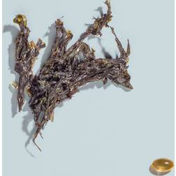 Kindly Omega-3 Vegan Algolja 28 st