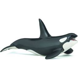 Papo Killer Whale 56000