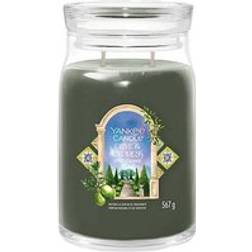 Yankee Candle Olive & Cypress 9.3cm x 15.7cm Scented Candle 567g