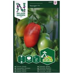 Nelson Garden Busktomat Ranger F1