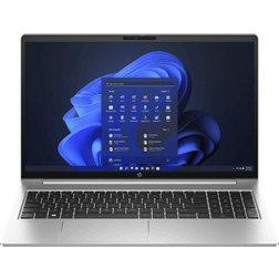 HP ProBook 455 G10 (AL0G1AT)