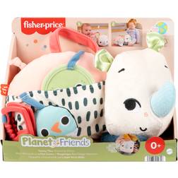 Fisher Price Planet Friends Tummy Time Roaming Rhino