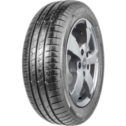 Goodyear EfficientGrip Performance 225/55WR16 95W