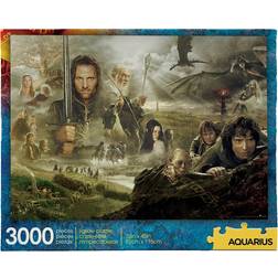 Aquarius Lord of the Rings 3000 Bitar