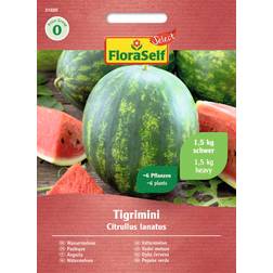 FloraSelf Tigrimini