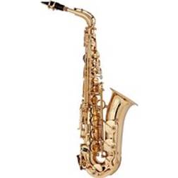 Gear4music Rosedale Professional Alto Saxophone