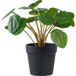 House Nordic Pelia H28 cm Grøn Kunstig plante