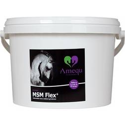 Amequ MSM Flex+ 5kg