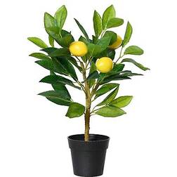 Everlands Dekorativ Plast Citronträd 17x24x43 cm Konstgjord växt