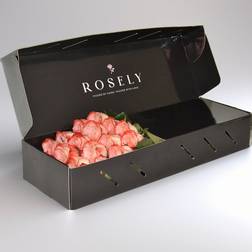 Rosely Blushing Harmony