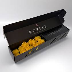 Rosely Honey Dream