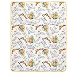 ABYstyle Harry Potter Blanket Filt