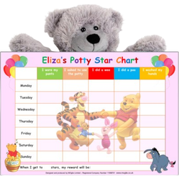 Personalised Potty Toilet Training Chart