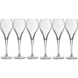 Stiernholm Bubbles Champagneglas 16cl 6st