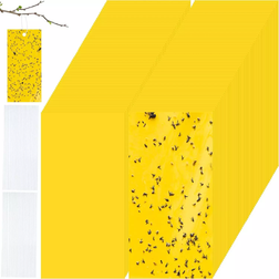 Double Sided Sticky Traps 100pcs