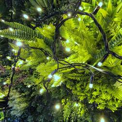 Lighting Legends Pro Link Connectable Outdoor LED Fairy String Lights - 200M / Bright White String Light