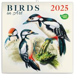 Calendar 2024-2025 Birds Wall Calendar 12x12 in