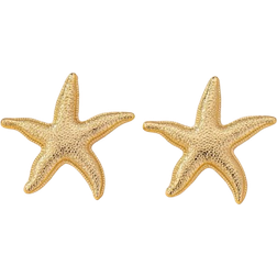 Shein pair Minimalist Starfish Design Earrings Fashion SeaThemed Jewelry For Women