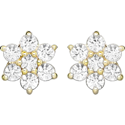 Plaza Gold Essentials by Plaza Sparkle star øreringe kt