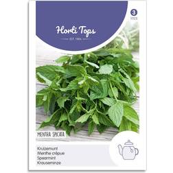 Horti Tops Grøn Mynte Frø Spearmint Krydderurtefrø