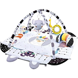 TFDER TFDER 5-i-1 Babygym Med Lek