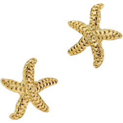 Shein Pair Geometric Pearl Starfish Stud Earrings