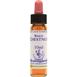 Aroma Creative White Chestnut 10ml