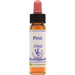 Aroma Creative Pine