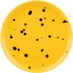 Marimekko Oiva Ø13.5 cm Yellow-Black Saucer Plate 13.5cm