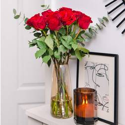 Fays Flowers A Dozen Red Roses Flower Bouquet 30 x 30 x 50 cm