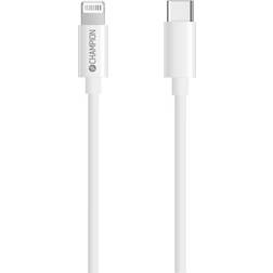 Champion Electronics USB C-Lightning 3.1