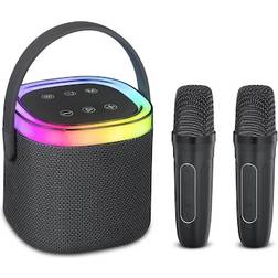 Andersson KEM-D3000 Bärbar Karaokehögtalare Med 2 Mikrofoner
