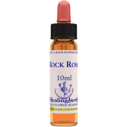 Aroma Creative Rock Rose 10ml