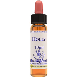 Aroma Creative Holly 10 ml