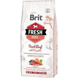 Brit Fresh Beef with Pumpkin Puppy Large 12kg