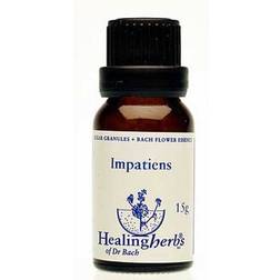 Aroma Creative Impatiens