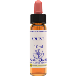 Aroma Creative Olive 10ml
