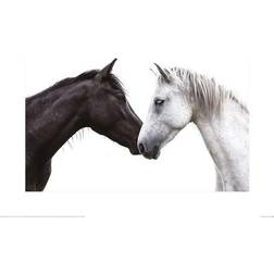 Lisa Saint Light To Your Dark 40cm x 50cm White/Black Poster