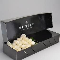 Rosely White Delight