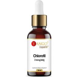 Yango Weißes Maulbeer Chlorophyll In Tropfen 30 ml