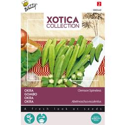 XOtica Okra frø, Clemson Spineless Buzzy Grøntsagsfrø