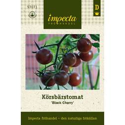 Impecta Körsbärstomat Cherry'