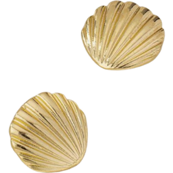 Shein 1pair Elegant & Exquisite Seashell Shaped Earrings With Fashionable Style