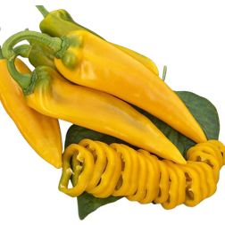 Impecta Paprika, Spets-, Ora Long
