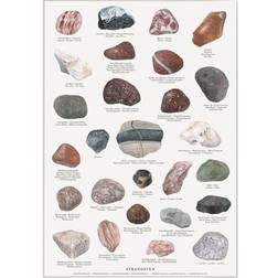 Koustrup & Co. Strandsten A2 Plakat 42x60cm