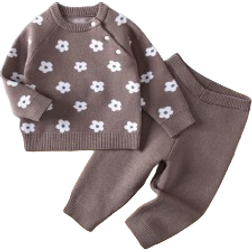 Shein Baby Girl Floral Pattern Raglan Sleeve Sweater & Knit Pants