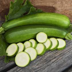 Impecta Squash, F1 Keesha