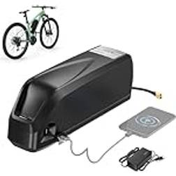Bafang 48V 20Ah Elcykelbatteri Med Laddare
